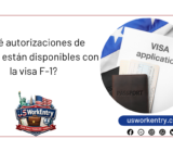 ¿Qué autorizaciones de trabajo están disponibles con la visa F-1?