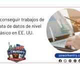 Cómo conseguir trabajos de analista de datos de nivel básico en EE. UU.