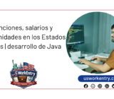 Funciones, salarios y oportunidades en los Estados Unidos | desarrollo de Java